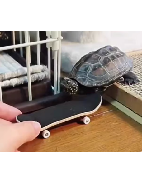 High-end turtle skateboard, creative silky smooth decompression pet toy, relief from boredom, companionship, balance car, turtle treadmill, entertainment